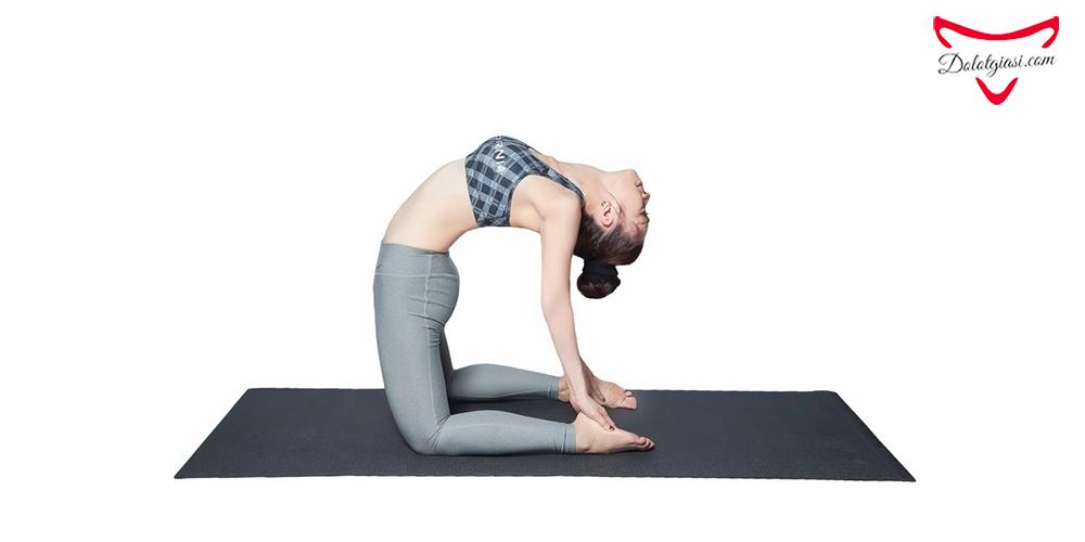 Bài tập yoga con lạc đà giúp căng cơ vòng 1